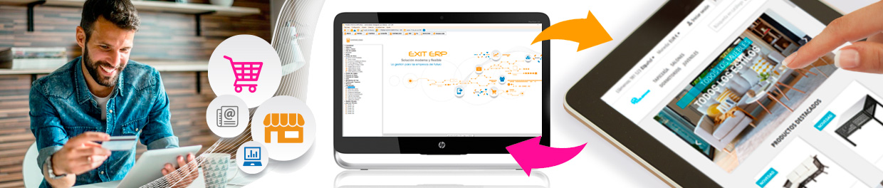 E-commerce y Diseño Web